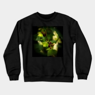 Blackcurrant Berries Crewneck Sweatshirt